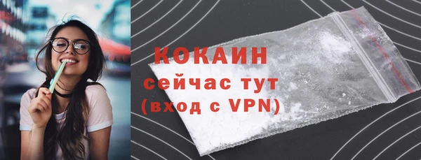 шишки Балахна