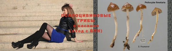 стафф Баксан