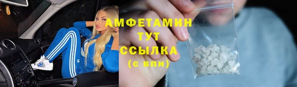 шишки Балахна