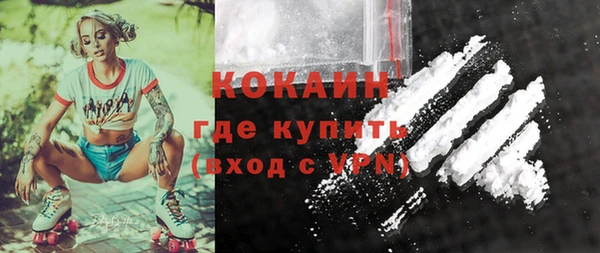 шишки Балахна