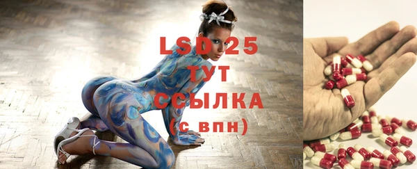шишки Балахна