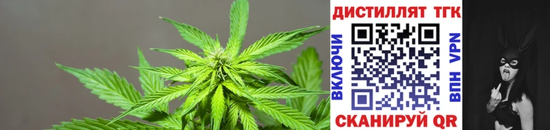 Дистиллят ТГК THC oil  где продают наркотики  Химки 