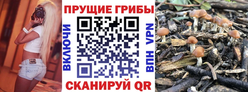 Псилоцибиновые грибы MAGIC MUSHROOMS  Химки 